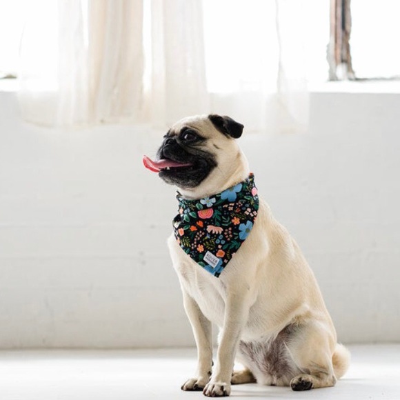 NWT Wild Rose Small Floral Dog Bandana - Picture 2 of 5